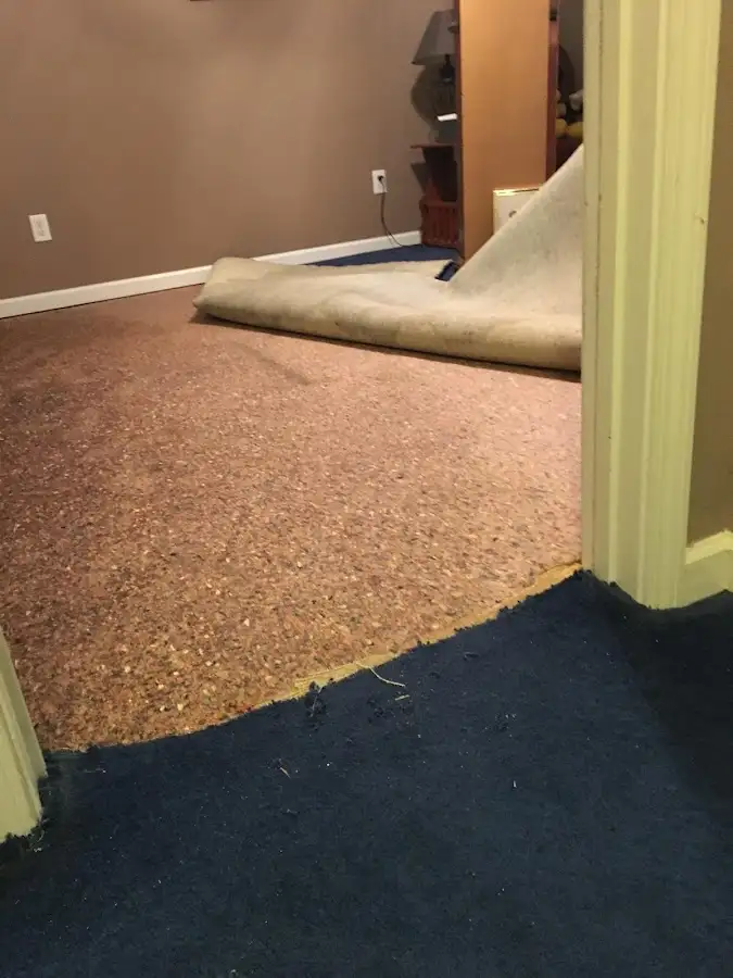 Carpet pad removal revealing water damage during Drying & Dehumidification in Burleson